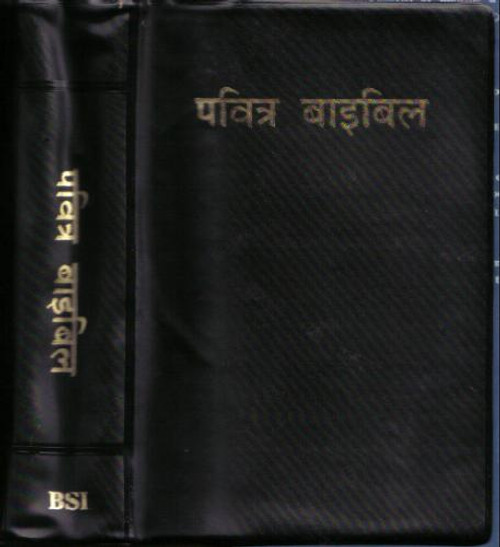 Hindi Bible: India [Paperback]