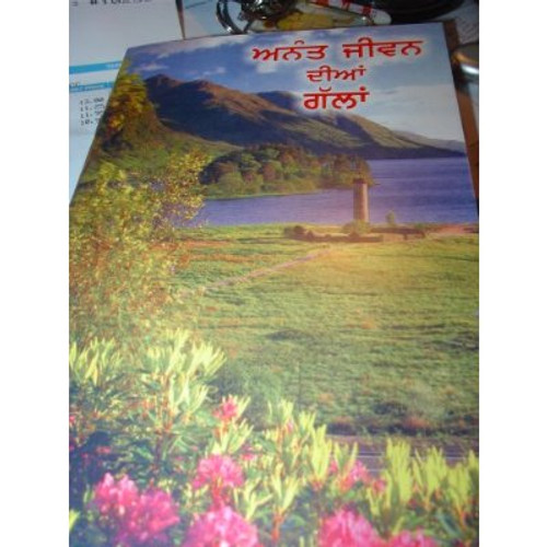 John's Gospel Punjabi [Paperback] by Punjabi translators
