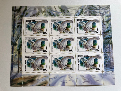 Почта СССР (USSR Post) 1990 / Марка СССР "Белая сова" (USSR stamp "White Owl") / Белая сова Nyetoa seandiaca / Stamp (russtamps006)