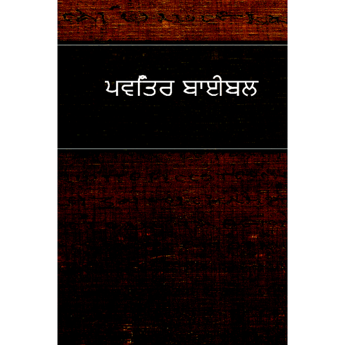 Punjabi Bible-FL-Easy to Read (Punjabi Edition) [Paperback]