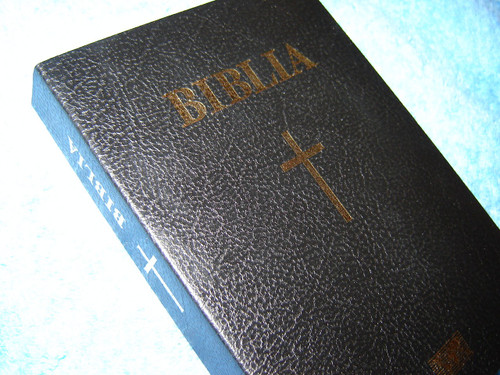 Romanian Bible / Biblia Sau Sganta Scriptura A Vechiului Si Noului Testament ...