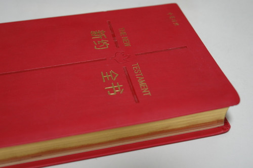 Catholic Chinese - English Bilingual New Testament 