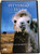A Pityergő Teve története DVD 2003 The Story of the Weeping Camel / Directed by Luigi Falorni / Starring: Janchiv Ayurzana, Chimed Ohin, Amgaabazar Gonson, Zeveljamz Nyam (5999544250741)