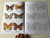 Magyarországi lepkék kifestőkönyve / by Horváth Ágnes / Tinta Könyvkiadó / Coloring book of Hungarian butterflies (9789634090595)
