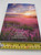 Thai-English New Testament / ThSV - CEV Thai Standard Version - Contemporary English Version / Thailand Bible Society 2020 / Paperback (9786163391520)