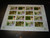 Nepal Postage Stamp Collector's Block - Fruit Series The Fruits of Nepal