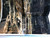 Katedrálisok, templomok és mecsetek  TÖRTÉNELMÜNK AZ ÉGBŐL NÉZVE  SCOLAR  Henri Stierlin  Scolar Kiadó Kft., 2006.  Hardcover (9789639534537)