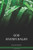 Bukiyip Language New Testament / Nupela Testamen long tokples Bukiyip long Niugini (APETBL) / Mountain Arapesh New Testament / Papua New Guinea