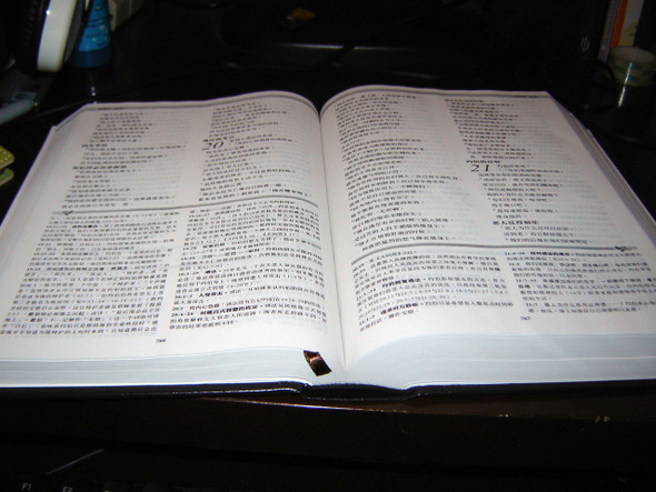 CNV Study Bible / Chinese New Version Study Bible / Simplified Character
