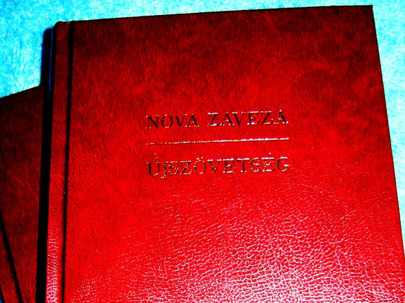 Hungarian - Slovenian Bilingual New Testament / Slovensko - Madzarska Nova Zaveza