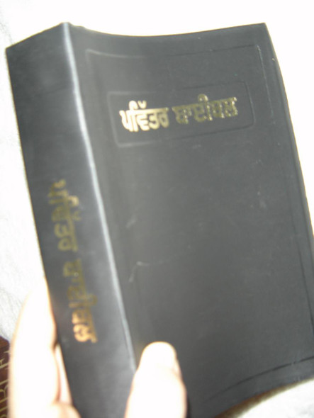 Punjabi C.L. Bible / Common Language Version