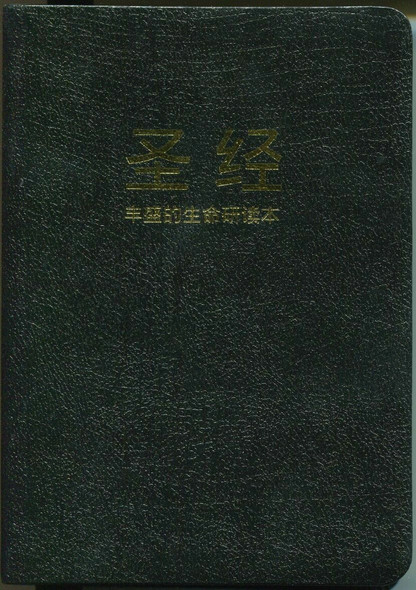 Chinese Fire Bible AKA Full Life Study Bible / Chinese Union Version Text  / Simplified Chinese Characters  Bonded Leather