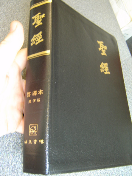 The Ultimate Chinese Study Bible / Luxury Black Leather Edition Thumb Indexed, Golden Edges