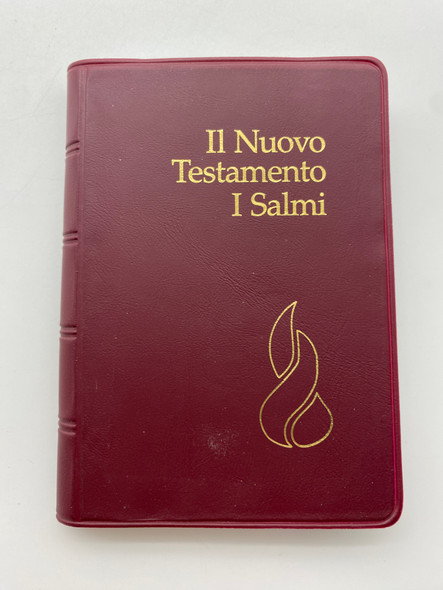 IL NUOVO TESTAMENTO E I SALMI The New Testament and Psalms (9782608316264)