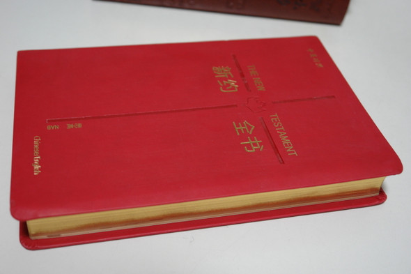 Catholic Chinese - English Bilingual New Testament 