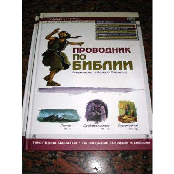 Guide to the Divine Bible for Teenagers / Russian Language Book / Guide From Genesis to Revelation