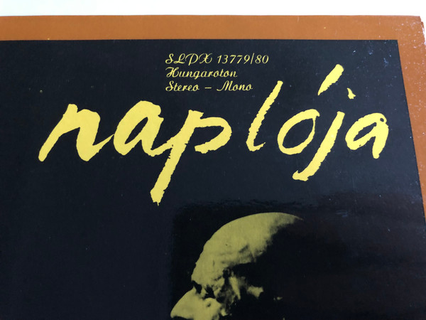 Egy Őrült Naplója / Nikolaj Gogol / Darvas Iván ‎/ Conducted: Róna Frigyes / HUNGAROTON 2X LP STEREO - MONO / SLPX 1379/80