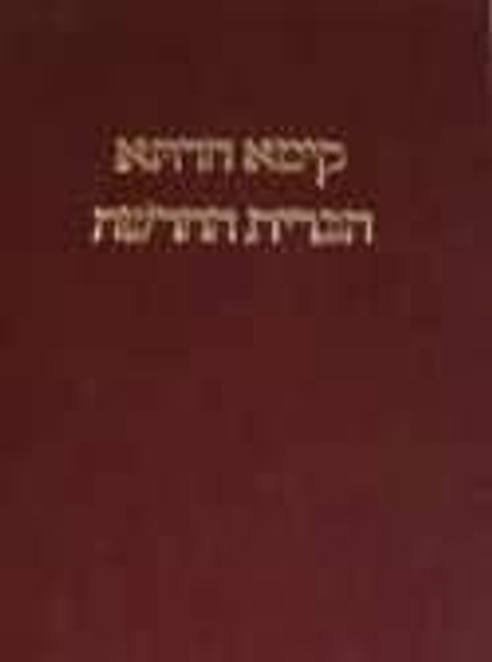 Aramaic Peshitta New Testament (Aramaic Edition)