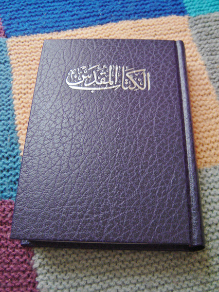 Arabic Language Bible / Purple Cover / New Van Dyck Bible / Printed in Korea