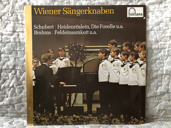 Wiener Sängerknaben - Schubert - Heidenröslein, Die Forelle U.A.; Brahms - Feldeinsamkeit U.A. / Fontana LP Stereo / 6530 008