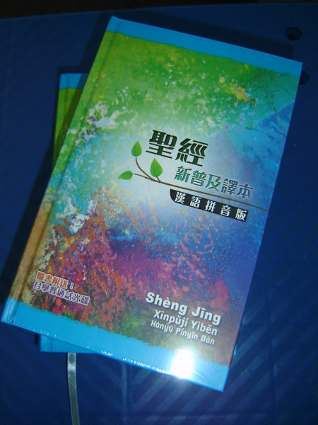 Chinese New Living Translation Holy Bible - Chinese Traditional Characters with Pin Yin Romanised Text