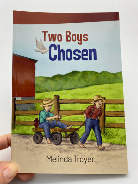 Two Boys Chosen by Melinda Troyer (9781638130475)