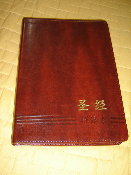 Chinese Study New Testament / Brown Leather Bound Golden Edges / Full Color Illustrations / The ESV Study Bible study notes and materials translated to Mandarin Chinese Language / 2015 Print CUV Text