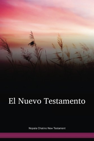 Nopala Chatino New Testament / El Nuevo Testamento (CYANT) / Mexico

