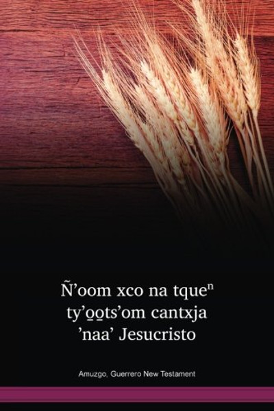 Guerrero Amuzgo Language New Testament / Ñʼoom xco na tqueⁿ tyʼo̱o̱tsʼom cantxja ʼnaaʼ Jesucristo (AMUNT) / Mexico