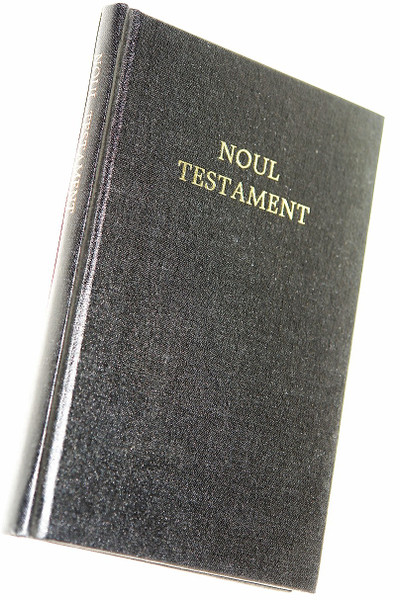 Romanian New Testament with Psalms / Noul Testament Al Domnului Nostru Isus Hristos si Psalmii / Size 353 / Rumanian / Black Hardcover