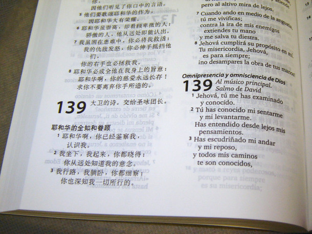 Chinese & Spanish Rvr95 Diglot Nt W/P&P (Chinese Edition) [Paperback]