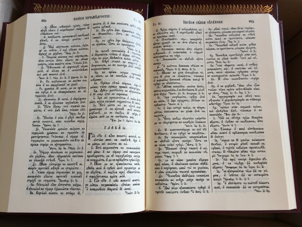 Bible from Russian / Hard Closure / Church Slavonic Text / 170X240mm / Славе́нскїй ѧ҆зы́къ (5855240096)