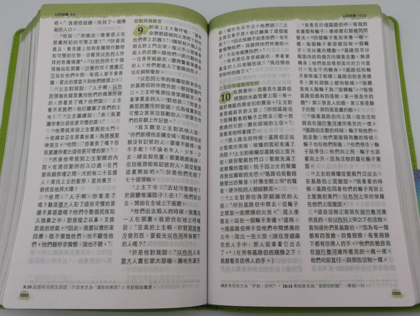 Holy Bible - Chinese New Living translation / Green Leather bound CAT8904 / Chinese Bible International 2013 / Chinese NLT Bible (9789625139043)