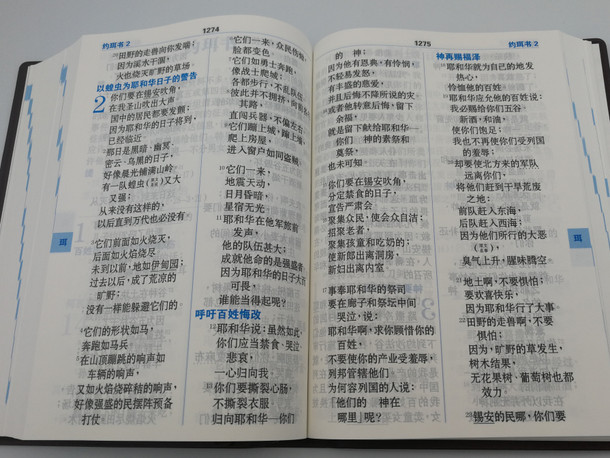 Chinese Union Version Holy Bible with new punctuation / Brown vinyl bound / Bible Society Malaysia 2018 / CUNPSS83PL / Page index, color maps (9789830300719)