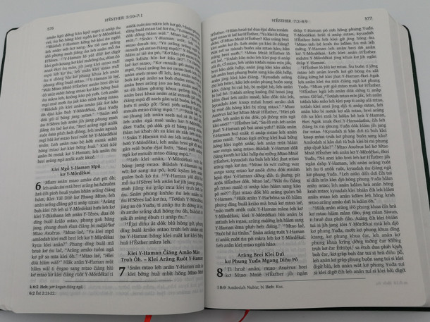 Kinh Thánh - The Holy Bible in Rade language 2015 version / Vietnam Bible Society - UBS 2018 / Hdruom Hra Klei Ae Die Blu / Green Vinyl Bound (9786046155362)