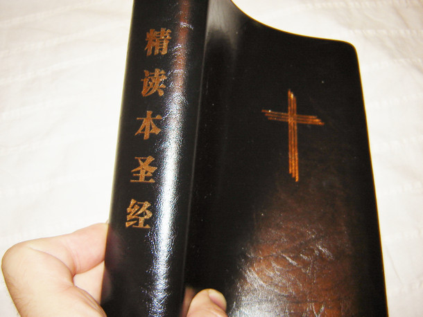 Chinese Study Bible / Cross Commentary and Concordance Bible