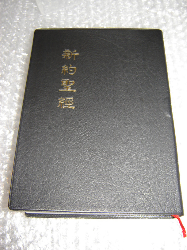 Chinese Special Study Bible Printed in Taiwan / Reference Bible with Section Heading