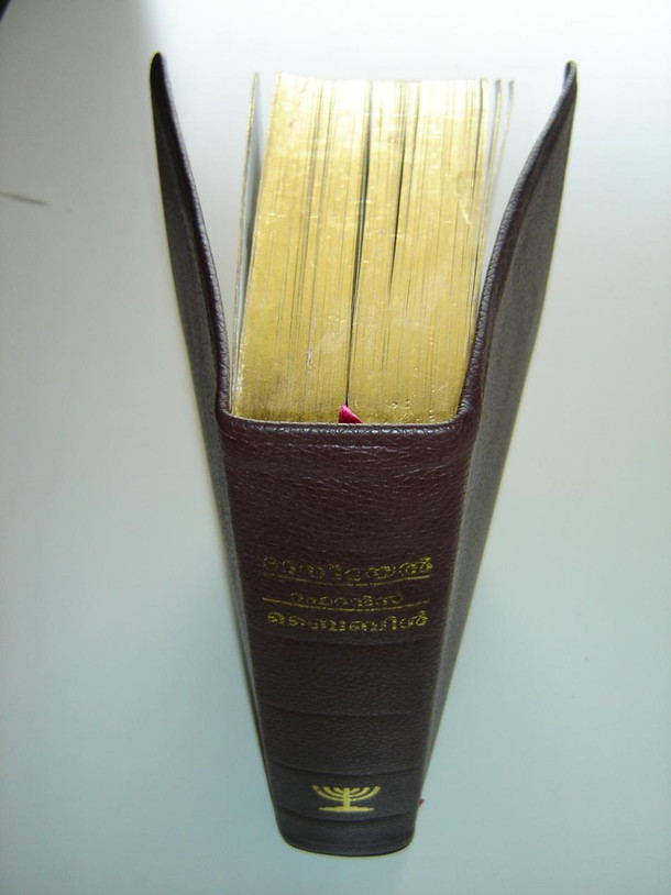 Daniel Reference Malayalam Bible / Leather Bound with Golden Edges