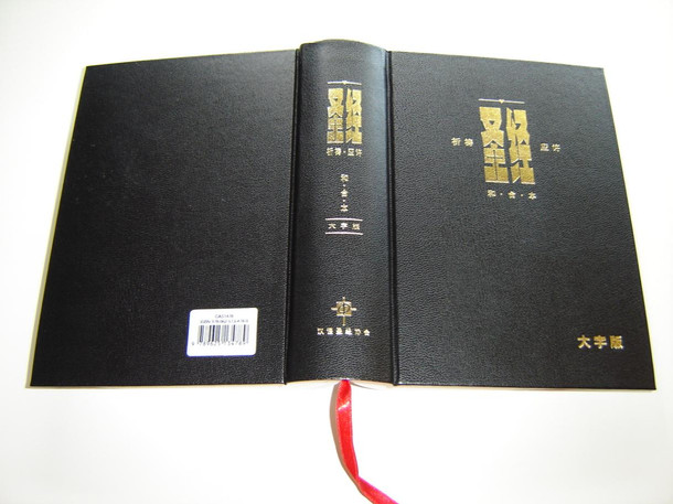Prayer & Promise Chinese Holy Bible Union Version / Standard Size, Large Print / CAS 1478 / Simplified Characters, Charts and Maps