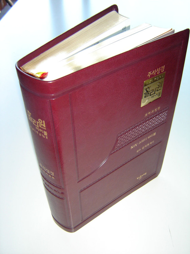 Korean NIV Study Bible / NKRV Burgundy Leather Bound, Golden Edges, Thumb Index / New Korean Revised Version / Words of Christ in RED