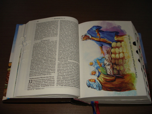 Indonesian Bible with Color Illustration / ALKITAB BERGAMBAR / Teks Alkitab Terjemahan Baru