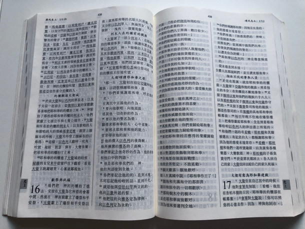 Holy Bible - New Chinese Version (Shen Edition) 聖經 新 譯 本 / Worldwide Bible Society 2001 / Paperback, double column text with page index (9789628623747)