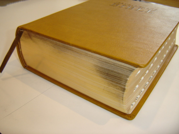 The Jerusalem Bible in Czech Language / Jeruzalémská Bible Písmo Svaté Vydané Jeruzalémskou Biblickou Školou / Leather Bound with golden edges, thumb index / Contains Deuterocanonical books (9788071953890)