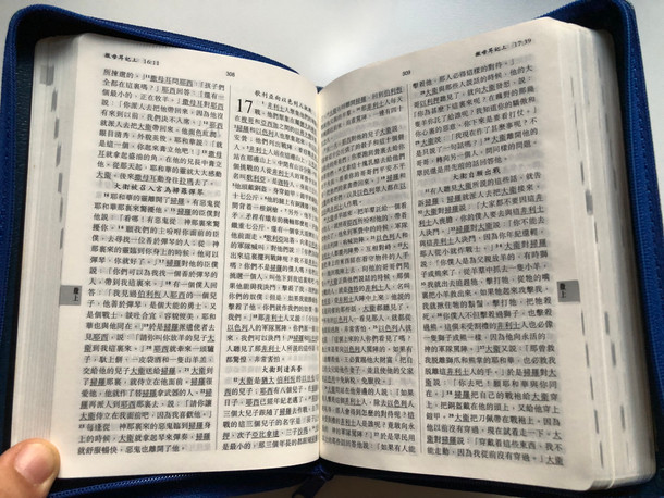 New Chinese Version Holy Bible (Shen edition) / Worldwide Bible Society 2001 / Blue Leather bound with zipper and indexes / Compact size (9628623710)