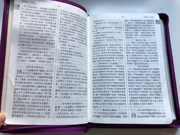 Violet Leather bound Chinese Holy Bible - New Chinese Version (Shen edition) / Worldwide Bible Society 2001 / Leather bound with zipper and page indexes (9628623729)