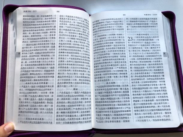 Violet Leather bound Chinese Holy Bible - New Chinese Version (Shen edition) / Worldwide Bible Society 2001 / Leather bound with zipper and page indexes (9628623729)