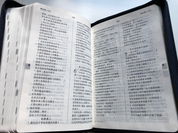 Navy Blue Leather bound Chinese Holy Bible - New Chinese Version (Shen edition) / Worldwide Bible Society 2001 / Leather bound with zipper and page indexes and silver edges / 如稻新譯本 (神字版) (9628623745)