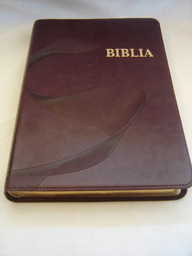 New EWE Bible / BIBLIA - Purple Leather Cover with Golden Edges