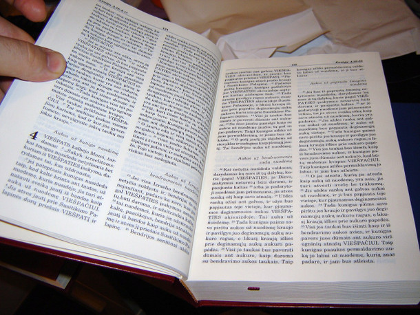 Lithuanian Bible / 053 UBS 1999 / Printed in Finland / Hardcover