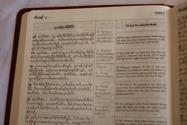 Sgaw Karen and English Bilingual New Testament / Karen Translated from the Greek by Francis Mason - World English Bible / S'gaw Karen language of Myanmar and Thailand / စှီၤ/ကညီကျိာ် (9789994355907)